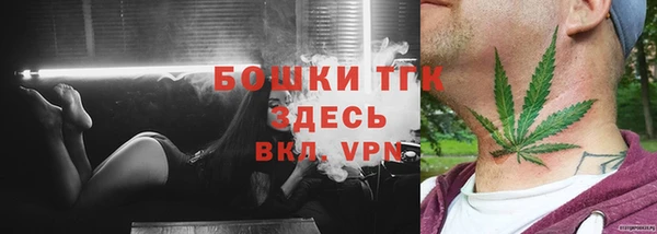 шишки Ханты-Мансийск