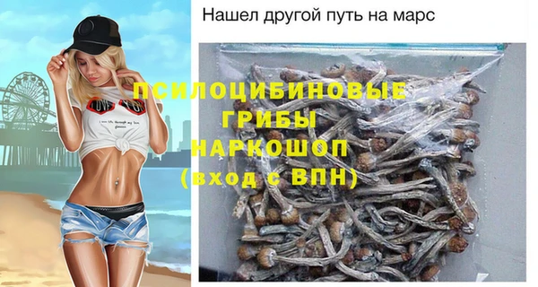СК Гусиноозёрск