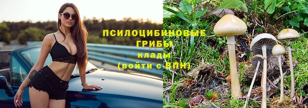 mix Гусев
