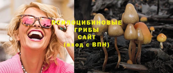 mix Гусев
