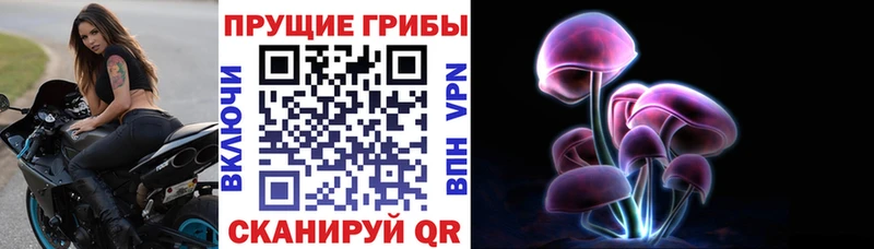 Галлюциногенные грибы Psilocybe  Острогожск 