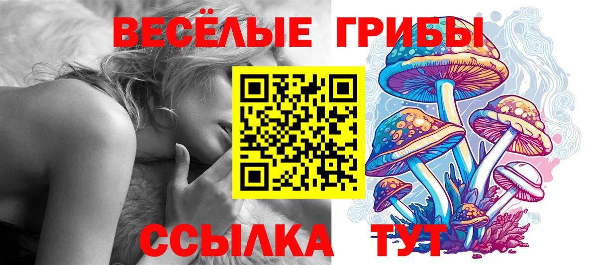 Галлюциногенные грибы MAGIC MUSHROOMS Острогожск