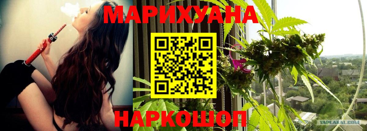 Бошки Шишки MAZAR Острогожск